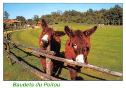 79-MARAIS POITEVIN-N°4013-D/0013 - Andere & Zonder Classificatie