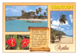 971-GUADELOUPE-N°4013-C/0343 - Autres & Non Classés