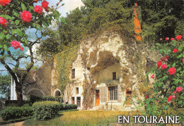 37-MAISON TROGLODYTE TOURAINE-N°4013-C/0215 - Otros & Sin Clasificación