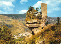 48-GORGES DU TARN-N°4013-C/0137 - Gorges Du Tarn