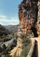 48-GORGES DU TARN-N°4013-C/0117 - Gorges Du Tarn