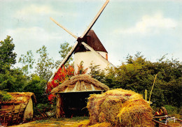 85-MOULIN DANS LE MARAIS-N°4013-C/0111 - Autres & Non Classés