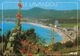 83-LE LAVANDOU-N°4013-C/0063 - Le Lavandou
