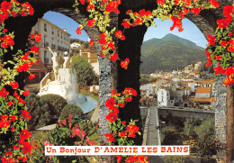 66-AMELIE LES BAINS-N°4013-C/0031 - Autres & Non Classés