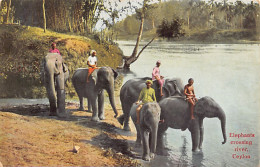 Sril Lanka - Elephants Crossing River - Publ. M. B. Uduman - The Travellers Mart 125 - Sri Lanka (Ceylon)