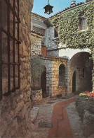 06-EZE VILLAGE-N°4013-B/0189 - Eze