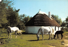 13-CAMARGUE-N°4013-B/0165 - Autres & Non Classés