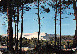 33-BASSIN D ARCACHON-N°4013-B/0117 - Sonstige & Ohne Zuordnung