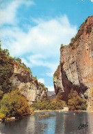 48-GORGES DU TARN-N°4013-B/0115 - Gorges Du Tarn