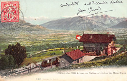 Salève (74) Station Des XIII Arbres  - Chaîne Du Mont-Blanc - Ed. Phototypie Co 732 - Otros & Sin Clasificación
