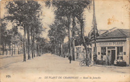 94-LE PLANT DE CHAMPIGNY-ROUTE DE JOINVILLE-N 6009-F/0137 - Other & Unclassified