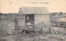 FO-SCENE DE BEAUCE-CABANE DE BERGER SUR ROUE-N 6009-E/0361 - Viehzucht