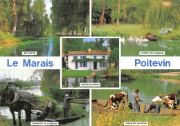 79-MARAIS POITEVIN-N°4014-A/0001 - Other & Unclassified
