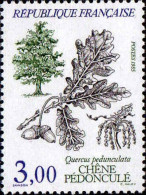 France Poste N** Yv:2386 Mi:2516 Chêne Pédonculé Quercus Pedunculata - Ongebruikt