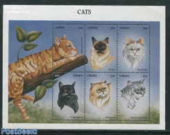 Liberia 1999 Cats 6v M/s, Mint NH, Nature - Cats - Autres & Non Classés