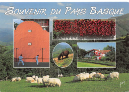 64-PAYS BASQUE-N°4013-D/0361 - Sonstige & Ohne Zuordnung