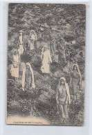 Sri Lanka - Tea Picking - Publ. Messageries Maritimes (no Imprint)  - Sri Lanka (Ceylon)