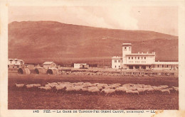 FEZ - La Gare De Tanger-Fez - Fez