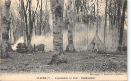 60-CHANTILLY-EXPLOITATION EN FORET-CHARBONNIERS-N 6009-H/0145 - Chantilly