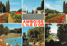 37-AMBOISE-N°4014-C/0299 - Amboise