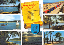 40-HOSSEGOR-N°4014-B/0399 - Hossegor