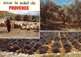 84-PROVENCE-N°4014-B/0285 - Autres & Non Classés