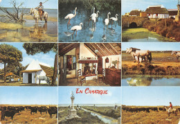 13-LA CAMARGUE-N°4014-B/0175 - Autres & Non Classés