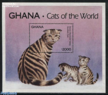 Ghana 1994 Brown Scottish S/s, Mint NH, Nature - Cats - Autres & Non Classés