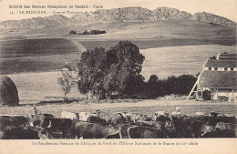 LE MUNCHAR - Cave Et Troupe De Boeufs - Société Des Fermes Françaises De Tunisie 25 - Tunesien