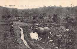 Viet Nam - TONKIN - La Vie Aux Champs - Le Laboureur - Ed. P. Dieulefils 147 - Viêt-Nam