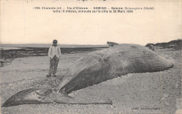 17-ILE D OLERON-DOMINO-BALEINE ECHOUEE 25 MARS 1909-N 6010-C/0185 - Ile D'Oléron