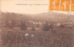 71-MOROGES-VIGNELLES ET CERSOT-N 6010-B/0273 - Autres & Non Classés