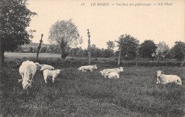 18-PAYSAGE DU BERRY-VACHES AU PATURAGE-N 6010-B/0027 - Autres & Non Classés