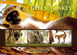 Gambia 2018 Green Monkey 3v M/s, Mint NH, Nature - Animals (others & Mixed) - Monkeys - Wild Mammals - Gambia (...-1964)