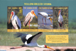 Gambia 2019 Yellow-Billed Stork 4v M/s, Mint NH, Nature - Birds - Gambia (...-1964)