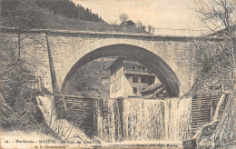 74-MEGEVE-PONT DU CRUET-N 6010-D/0385 - Megève