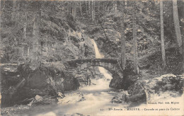 74-MEGEVE-CASCADE ET PONT DU CEDRON-N 6010-D/0389 - Megève