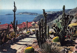 06-CAP FERRAT LE CAP DE NICE ET L ESTEREL-N°4015-D/0133 - Autres & Non Classés