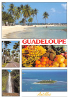 971-GUADELOUPE-N°4015-C/0357 - Autres & Non Classés