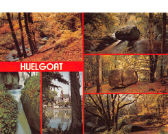 29-HUELGOAT-N°4015-C/0259 - Huelgoat