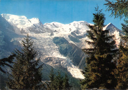 74-CHAMONIX MONT BLANC-N°4015-C/0143 - Chamonix-Mont-Blanc