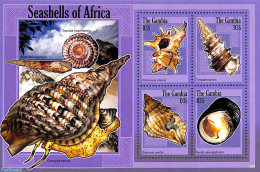 Gambia 2013 Shells 4v M/s, Mint NH, Nature - Shells & Crustaceans - Maritiem Leven