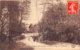 33-LOUPIAC DE CADILLAC-LE MOULIOT-N 6010-H/0231 - Sonstige & Ohne Zuordnung