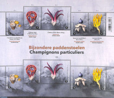 Belgium 2020 Mushrooms M/s, Mint NH, Nature - Mushrooms - Ungebraucht