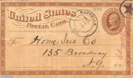 United States Of America 1879 Postcard 1c From ROCHELLE To New York, Used Postal Stationary - Briefe U. Dokumente