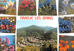 66-AMELIE LES BAINS-N°4015-D/0387 - Sonstige & Ohne Zuordnung