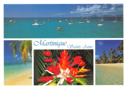 972-MARTINIQUE SAINTE ANNE-N°4015-D/0355 - Autres & Non Classés