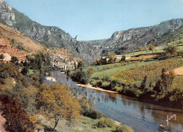 48-GORGES DU TARN LES VIGNES-N°4015-D/0335 - Gorges Du Tarn