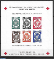 Poland 1945 Special Sheet, Imperforated, Mint NH, Health - History - Red Cross - World War II - Ungebraucht