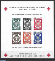 Poland 1945 Special Sheet, Imperforated, Mint NH, Health - History - Red Cross - World War II - Unused Stamps